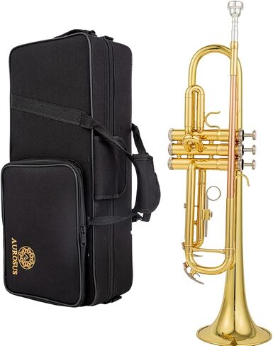 مجموعة البوق القياسية Bb Trumpet Gold النحاس/النيكل الفضي/النحاس الأصفر أدوات الموسيقى الأبواق المهنية المتقدمة للطلاب متضمنة ملحقات قطعة الفم in Saudi Arabia