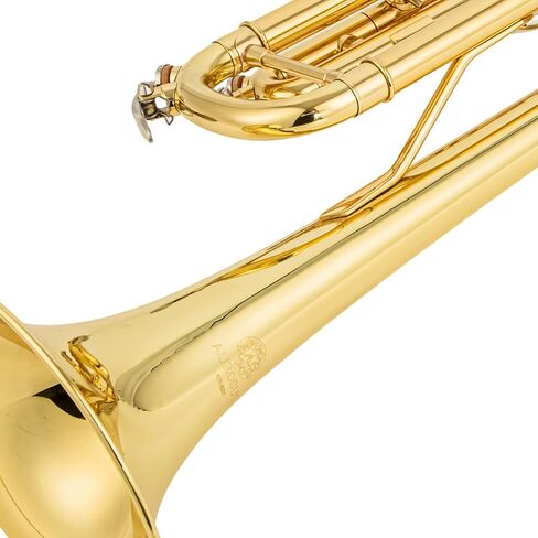 مجموعة البوق القياسية Bb Trumpet Gold النحاس/النيكل الفضي/النحاس الأصفر أدوات الموسيقى الأبواق المهنية المتقدمة للطلاب متضمنة ملحقات قطعة الفم in Saudi Arabia