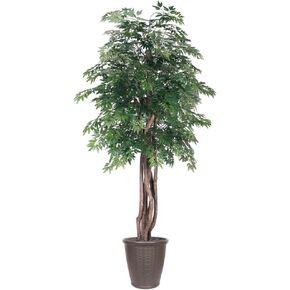 Vickerman 4' Indoor Artificial Ming Aralia Extra Full Bush, Brown Plastic Container.