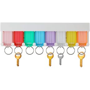MDSK Key Tags,4 Pack Tough Plastic Key Tags Id Labels with Split Ring Label Window, Assorted Colors (8)