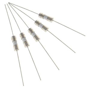 Heyiarbeit 2Pcs Ceramic Axial Lead Fuse 250V 10A Fast Blow Ceramic Fuses 5x20mm Ceramic Cartridge Fuses Fast Acting Ceramic Fuse for Electric Equipment
