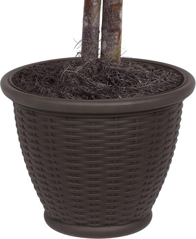 Vickerman 4' Artificial Frosted Maple Extra Full Bush, Brown Plastic Container. in Saudi Arabia