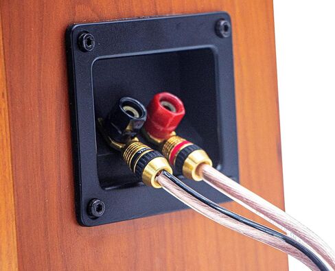 Mukjipa-Cable-2.1 1pair Set Speaker Wire 24k Gold Plated connectors, 10AWG 5N OFC((99.999% Oxygen Free Copper Wire) Mukjipa-Cable-2.1 (3M(9.8ft), Banana Plug ⇔ Banana Plug) in Saudi Arabia
