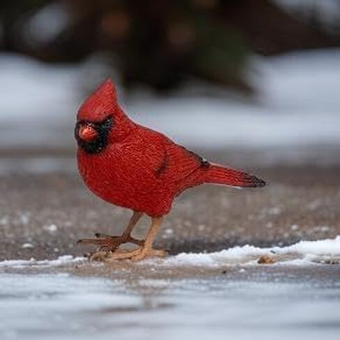 تصميمات مميزة تمثال كاردينال أحمر مقاس 4.125 بوصة - ديكور كاردينال لديكور المنزل التذكاري - هدية الفجيعة in Kuwait