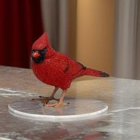 تصميمات مميزة تمثال كاردينال أحمر مقاس 4.125 بوصة - ديكور كاردينال لديكور المنزل التذكاري - هدية الفجيعة in Kuwait