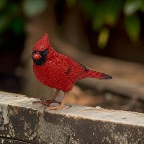 تصميمات مميزة تمثال كاردينال أحمر مقاس 4.125 بوصة - ديكور كاردينال لديكور المنزل التذكاري - هدية الفجيعة in Kuwait
