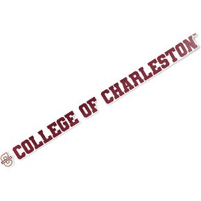 Desert Cactus College of Charleston Cougars C of C Name Logo Vinyl Decal Laptop Water Bottle Car Scrapbook (15 Inch Sticker)