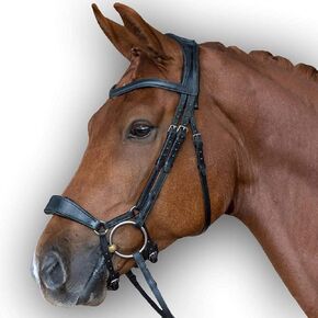 Leather Premium Shaped Padded Bridle for Horses Colors