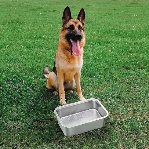 أوعية للكلاب من الفولاذ المقاوم للصدأ مع مغرفة لمخلفات الكلاب، وعاء ماء كبير الحجم للكلاب في الهواء الطلق للكلاب المتوسطة والكلاب كبيرة الحجم، وأوعية للطعام والماء للاستخدام الداخلي والخارجي in Kuwait