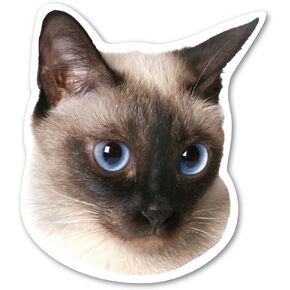 Siamese Cat Magnet by Magnet America is 5" x 4.375" Made for Vehicles and Refrigerators