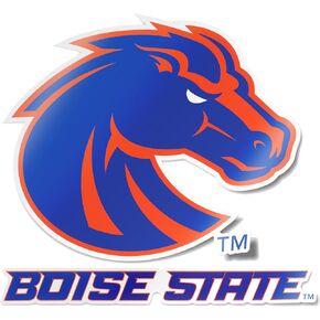 Desert Cactus Boise State University BSU Broncos Sticker Vinyl Decal Laptop Water Bottle Car Scrapbook (4 Inch Set V1)