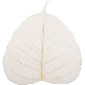 Skeleton Natural Ficus Religiosa Leaves Artificial Leaves Craft Card Scrapbook DIY Handmade Embellishment Decoration Art