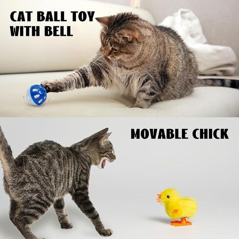 مجموعة لعب النعناع البري 12 في 1 من Nocciola: كرات النعناع البري الطبيعية، سمك السلمون المحاكاة، وسادة قطيفة، عصا مضغ سيلفرفين والمزيد - مجموعة ألعاب ممتعة وتفاعلية للقطط in Kuwait