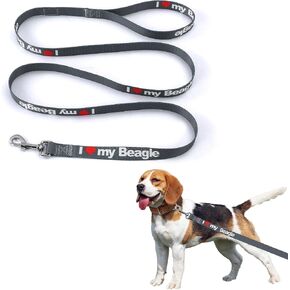 Customized Dog Leash for Your Beloved Golden Retriever, 6 FTX1IN, Polyester, Strong, Durable, Traditional Style in Saudi Arabia