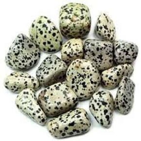 Pachamama Essentials Dalmation Jasper Tumbled - Healing Stone - Crystal Healing 20-25mm (5)