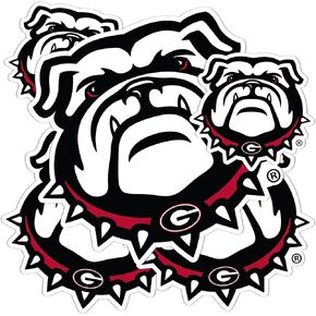 Desert Cactus University of Georgia Sticker Bulldogs UGA Dawgs Stickers Vinyl Decals Laptop Water Bottle Car Scrapbook T3 (Type 3-2)