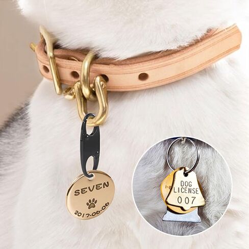 مشبك أقفال بسحاب، مشابك حلقة تسلق لمنع السرقة، استبدال سحب السحاب، مشبك معدني مزدوج الفتح (أسود، 4 عبوات) in Kuwait