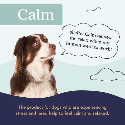 Hemp Calming Chews for Large Dog 15mg - with Proprietary Hemp Oil Blend - Helps with Calming, Stress, Cognitive Support, and Overall Wellness in Saudi Arabia