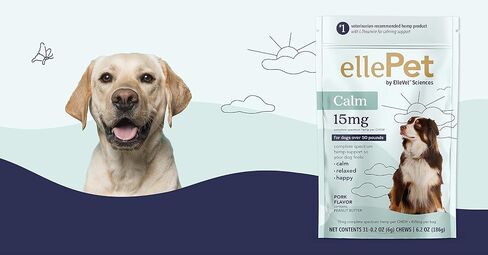 Hemp Calming Chews for Large Dog 15mg - with Proprietary Hemp Oil Blend - Helps with Calming, Stress, Cognitive Support, and Overall Wellness in Saudi Arabia