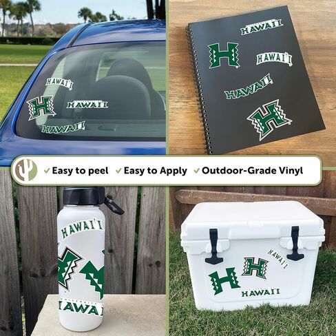 Desert Cactus University of Hawaii Rainbow Warriors UH Full Sheet Stickers Vinyl Decals Laptop Water Bottle Car Scrapbook T2 (Type 2) in Saudi Arabia