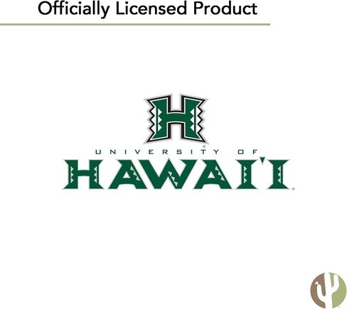 Desert Cactus University of Hawaii Rainbow Warriors UH Full Sheet Stickers Vinyl Decals Laptop Water Bottle Car Scrapbook T2 (Type 2) in Saudi Arabia