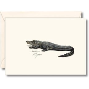 Earth Sky + Water - Alligator Notecard Set - 8 Blank Cards with Envelopes