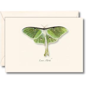 Earth Sky + Water - Luna Moth Notecard Set - 8 Blank Cards with Envelopes