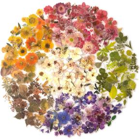 Maxleaf Pressed Flower Stickers Set, 270PCS Dried Flowers Waterproof Stickers Decals Floral Botanical Journaling Stickers for Scrapbook Supplies Junk Journal Bullet Journal Planner Laptops Art Crafts