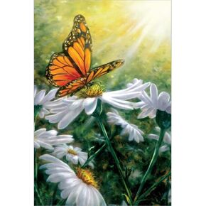 Tree-Free Greetings EcoNotes 12 Count Monarch Butterfly All Occasion Notecard Set with Envelopes, 4 x 6 Inches (FS66503)