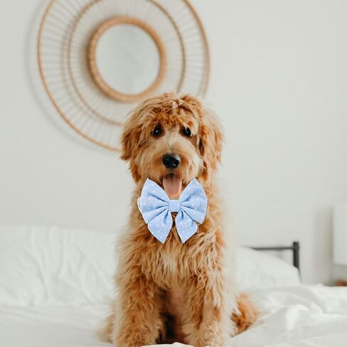 Adjustable Pet Bow Tie and Dog Collar for Lady Small Medium Large Dogs, Puppy Collar with Bowtie, Cute Lady Bow and Dog Collars - Comfort Soft Cotton (Blue Polka Dots, Small) in Saudi Arabia