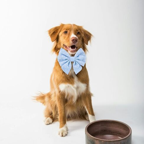 Adjustable Pet Bow Tie and Dog Collar for Lady Small Medium Large Dogs, Puppy Collar with Bowtie, Cute Lady Bow and Dog Collars - Comfort Soft Cotton (Blue Polka Dots, Small) in Saudi Arabia