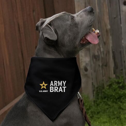 U.S. Army Brat Dog Pet Bandana in Saudi Arabia