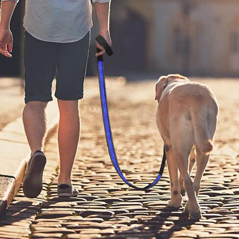 Lightup Dog Leash Fluffy Tails LED 3 Flashing Modes Waterproof USB Rechargeable Standard Dog leashes Flexi LED Lighting System Light up in The Dark Leash All Medium and Large Breeds Walking Leash in Saudi Arabia