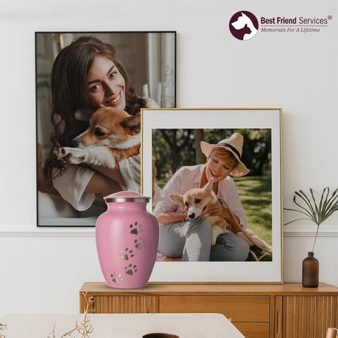 جرة الحيوانات الأليفة - الجرار التذكارية لحرق الحيوانات الأليفة من Ottillie Paws Legacy للكلاب والقطط والرماد المنحوت يدويًا من الألومنيوم جرة تذكار (ياقوت أزرق، أقدام عمودية بيوتر، صغيرة) in Kuwait