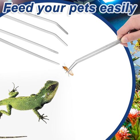 4 قطع من أدوات الملقط الطويلة Aquascape، ملاقط حوض السمك من الفولاذ المقاوم للصدأ بطول 10.6 بوصة، ملقط تغذية الزواحف، ملقط معدني مستقيم ومنحنى لنباتات الأسماك والسحالي والسحالي وملاقط البستنة in Kuwait