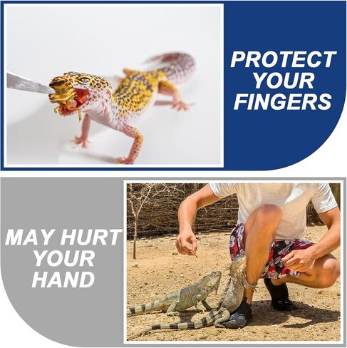 4 قطع من أدوات الملقط الطويلة Aquascape، ملاقط حوض السمك من الفولاذ المقاوم للصدأ بطول 10.6 بوصة، ملقط تغذية الزواحف، ملقط معدني مستقيم ومنحنى لنباتات الأسماك والسحالي والسحالي وملاقط البستنة in Kuwait