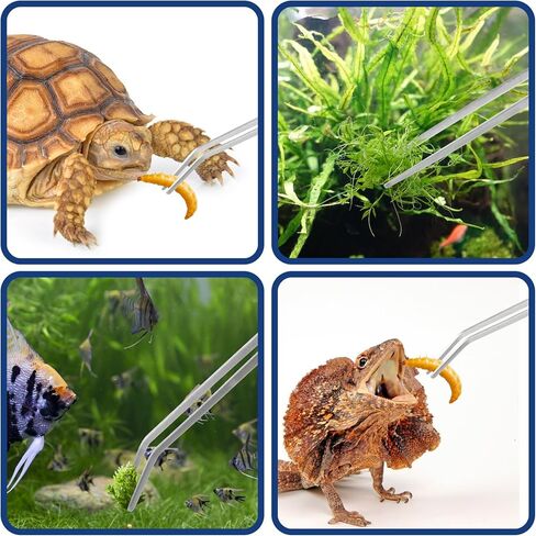 4 قطع من أدوات الملقط الطويلة Aquascape، ملاقط حوض السمك من الفولاذ المقاوم للصدأ بطول 10.6 بوصة، ملقط تغذية الزواحف، ملقط معدني مستقيم ومنحنى لنباتات الأسماك والسحالي والسحالي وملاقط البستنة in Kuwait