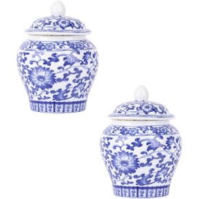Mini Blue and White Porcelain Ginger Jar 2pcs Set - Traditional Chinese Decorative Storage Jars with Auspicious Symbols (Mini set E)