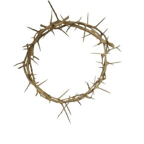 Crown of Thorns from Jerusalem Authentic Life Size (4-6" Diameter)