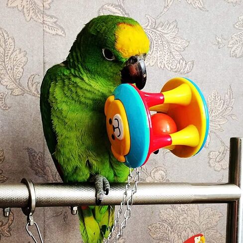 Bird Chew Foraging Toy Mini Sneakers Sports Shoes Toy with Bells for Parrot Parakeet Cockatiel Lovebird Conure Finch Canary African Grey Budgie Cage Accessories … in Saudi Arabia