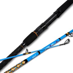 Fiblink Surf Spinning/Casting Fishing Rod 2-Piece Carbon Fiber Travel Fishing Rod (12-Feet & 10-Feet)