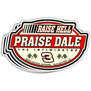 3 قطع من ملصقات Raise Hell Praise Dale Racing Legend Earnhardt Race Track رقم 3 ملصق أعلام السباق لأجهزة الكمبيوتر المحمول وزجاجة المياه وإكسسوارات الهاتف وخوذة نافذة ممتص الصدمات للسيارة، ملصقات 3 × 4 بوصة.