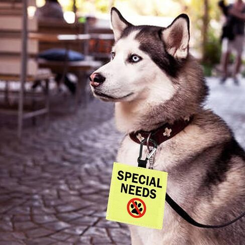 Special Needs Dog Alert Hang Tags for Dog Nervous Dog Hanging Dog Alert Patches Hanging Dog Tags (Special Needs -D) in Saudi Arabia