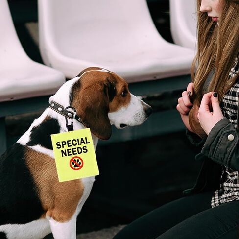 Special Needs Dog Alert Hang Tags for Dog Nervous Dog Hanging Dog Alert Patches Hanging Dog Tags (Special Needs -D) in Saudi Arabia