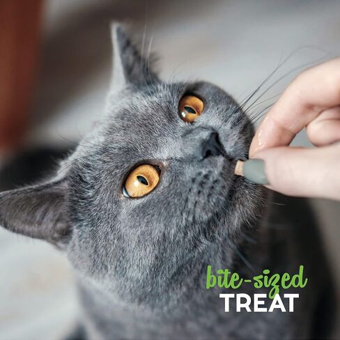Buddy Biscuits 3 oz Pouch of Grain Free Soft & Chewy Cat Treats Made with Natural Savory Turkey and Cheddar in Saudi Arabia