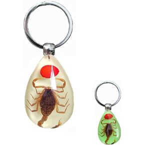 Keychain Black Scorpion Resin Key Ring Glow in the Dark Pendents with Insect Sample Inside for Bag Decoration