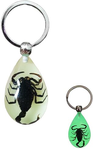 Keychain Black Scorpion Resin Key Ring Glow in the Dark Pendents with Insect Sample Inside for Bag Decoration in Saudi Arabia