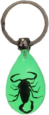 Keychain Black Scorpion Resin Key Ring Glow in the Dark Pendents with Insect Sample Inside for Bag Decoration in Saudi Arabia