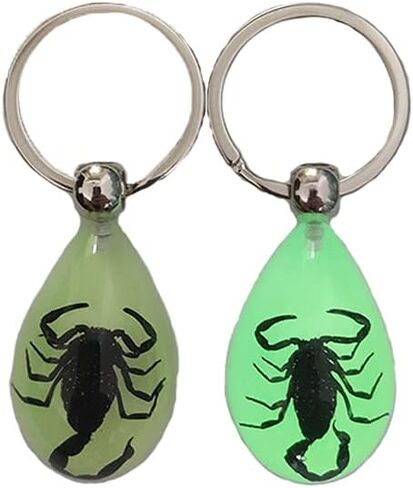 Keychain Black Scorpion Resin Key Ring Glow in the Dark Pendents with Insect Sample Inside for Bag Decoration in Saudi Arabia