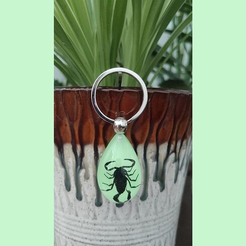 Keychain Black Scorpion Resin Key Ring Glow in the Dark Pendents with Insect Sample Inside for Bag Decoration in Saudi Arabia